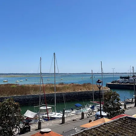 Vue Au Coeur Du Port De Plaisance *